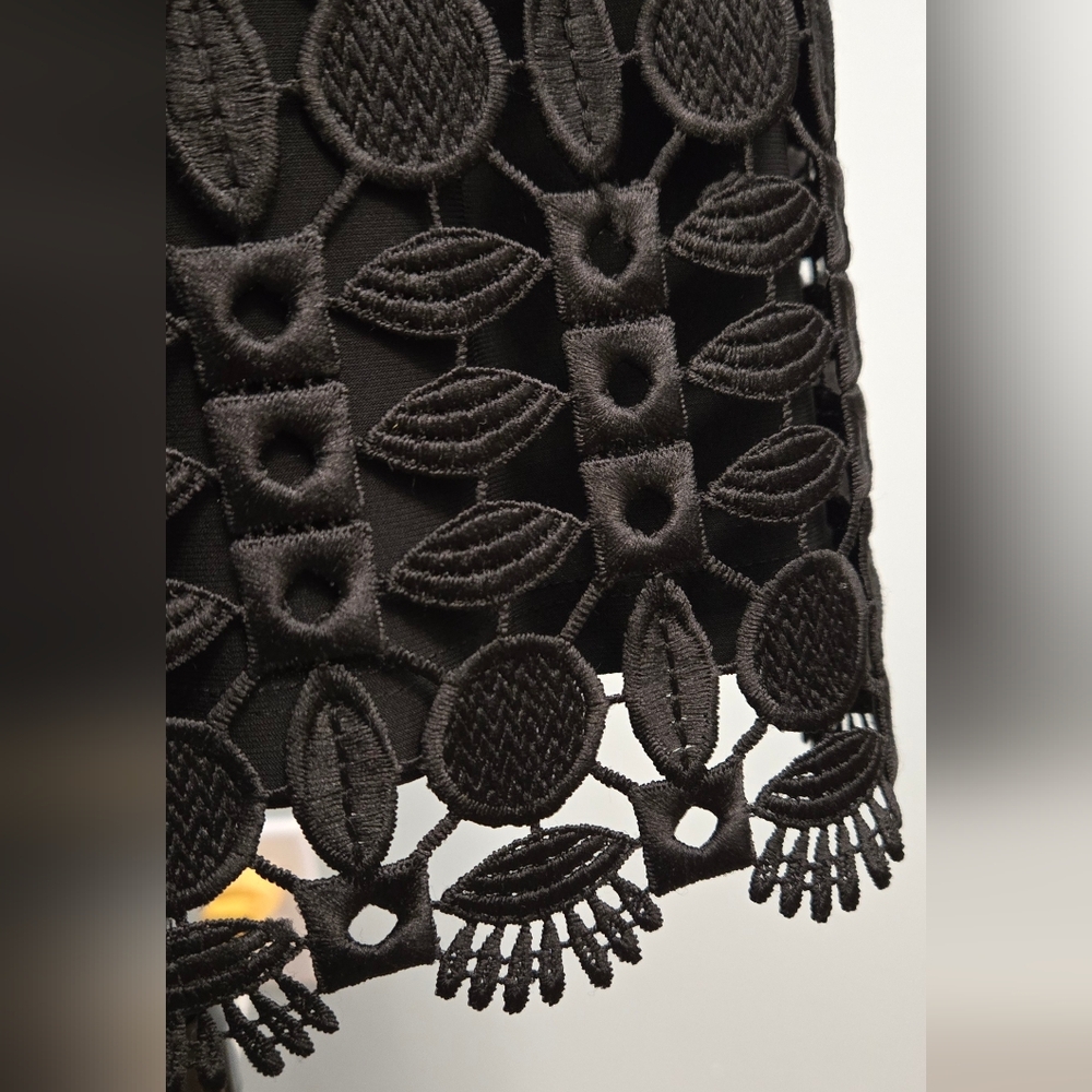 Lauren Ralph Lauren black embroidered lace LBD illusion sleeveless dress sz 10 - Picture 5 of 9
